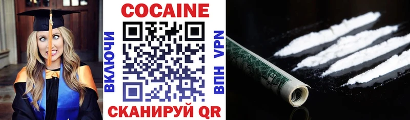 Купить закладки  Новотроицк  Кокаин Fish Scale 