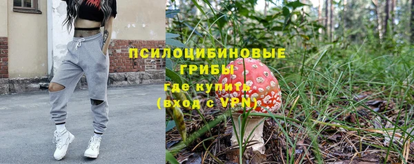 скорость Алексин