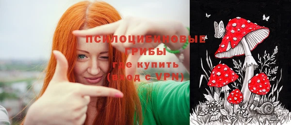 скорость Алексин