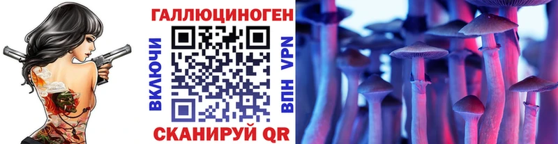 Купить  Новотроицк  Псилоцибиновые грибы Psilocybe 